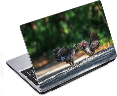 

ezyPRNT The Cock Family (14 to 14.9 inch) Vinyl Laptop Decal 14