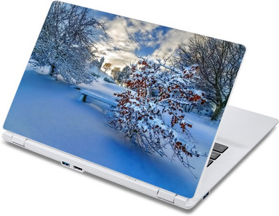 

ezyPRNT White and Frozen Nature (13 to 13.9 inch) Vinyl Laptop Decal 13