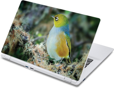 

ezyPRNT Cute Bird Sit (13 to 13.9 inch) Vinyl Laptop Decal 13