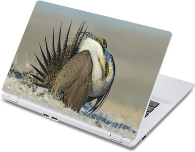 

ezyPRNT The Vulture (13 to 13.9 inch) Vinyl Laptop Decal 13