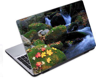 

ezyPRNT The Fallen Maple Leves (14 to 14.9 inch) Vinyl Laptop Decal 14