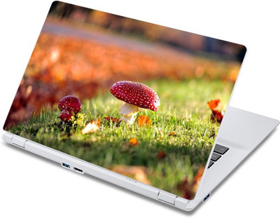 ezyPRNT The Wild Mushrooms (13 to 13.9 inch) Vinyl Laptop Decal 13