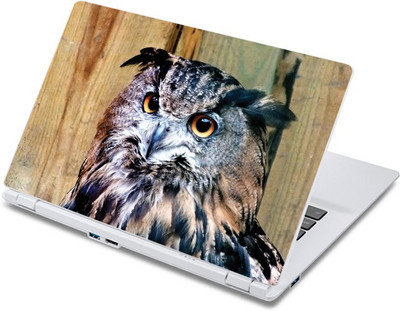 

ezyPRNT The Owl Bird (13 to 13.9 inch) Vinyl Laptop Decal 13