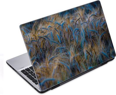 

ezyPRNT Wheat Crops (14 to 14.9 inch) Vinyl Laptop Decal 14