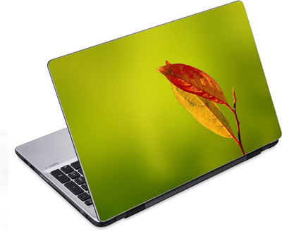 

ezyPRNT Two Leaves (14 to 14.9 inch) Vinyl Laptop Decal 14
