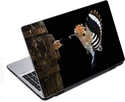 

ezyPRNT Bird Feed Snapshot (14 to 14.9 inch) Vinyl Laptop Decal 14