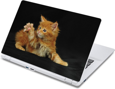 

ezyPRNT Cat's Paws Pet Animal (13 to 13.9 inch) Vinyl Laptop Decal 13