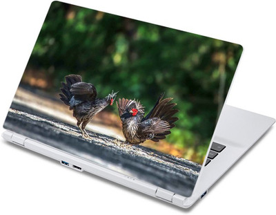 

ezyPRNT The Cock Family (13 to 13.9 inch) Vinyl Laptop Decal 13