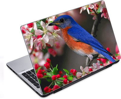 

ezyPRNT Humming Bird (14 to 14.9 inch) Vinyl Laptop Decal 14