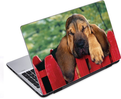 

ezyPRNT No Time to Sleep Pet Animal (14 to 14.9 inch) Vinyl Laptop Decal 14