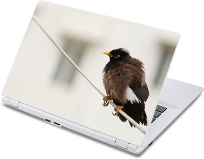 

ezyPRNT The Waiting Bird (13 to 13.9 inch) Vinyl Laptop Decal 13