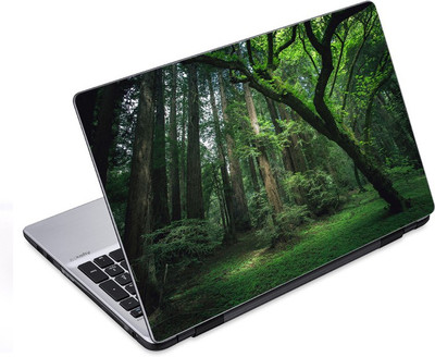 

ezyPRNT The Rain Forest (14 to 14.9 inch) Vinyl Laptop Decal 14
