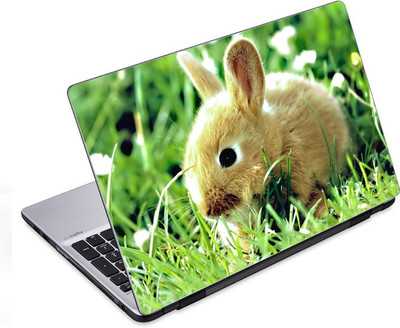

ezyPRNT The Mouse (14 to 14.9 inch) Vinyl Laptop Decal 14