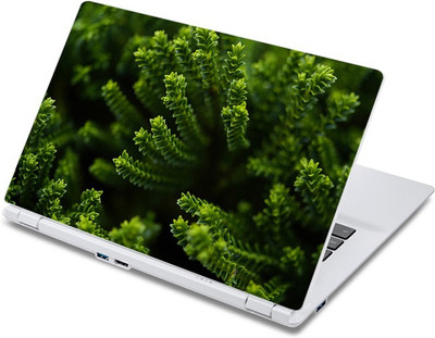 

ezyPRNT Beautiful Hedge (13 to 13.9 inch) Vinyl Laptop Decal 13