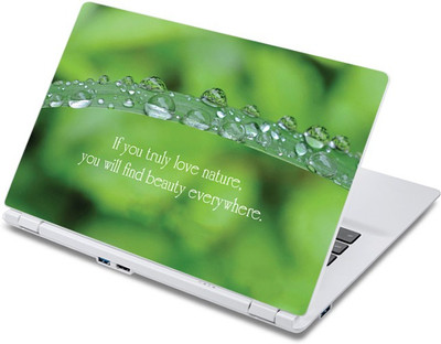 

ezyPRNT The Drops on Bamboo Leaf (13 to 13.9 inch) Vinyl Laptop Decal 13