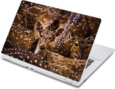 

ezyPRNT Cute Deer Cub Wildlife (13 to 13.9 inch) Vinyl Laptop Decal 13