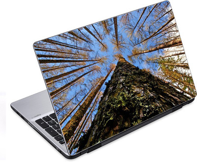

ezyPRNT Nature Sky Tree Forest Nature (14 to 14.9 inch) Vinyl Laptop Decal 14