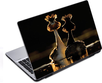 

ezyPRNT Wild Birds Talk Wildlife (14 to 14.9 inch) Vinyl Laptop Decal 14