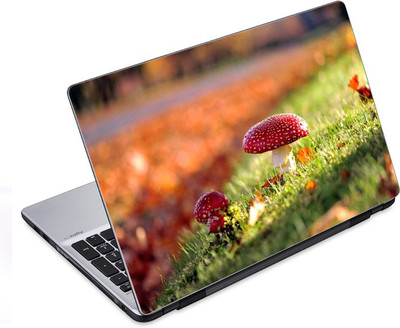 

ezyPRNT The Wild Mushrooms (14 to 14.9 inch) Vinyl Laptop Decal 14