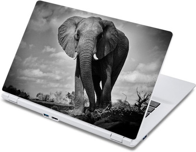 

ezyPRNT Huge Elephant Wildlife (13 to 13.9 inch) Vinyl Laptop Decal 13