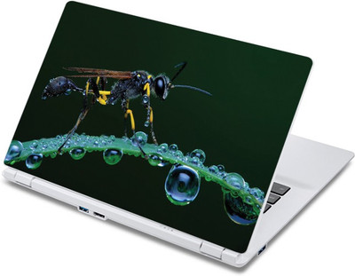 

ezyPRNT Magnified view of Housefly (13 to 13.9 inch) Vinyl Laptop Decal 13