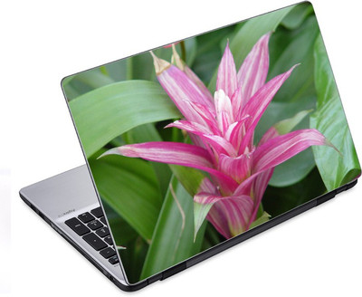

ezyPRNT Pink Flower with pointed Petals Nature (14 to 14.9 inch) Vinyl Laptop Decal 14