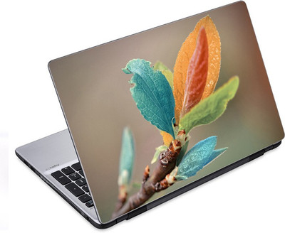 

ezyPRNT Colorful Botanical Leaves (14 to 14.9 inch) Vinyl Laptop Decal 14