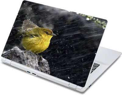 

ezyPRNT The Bird In Drizzle (13 to 13.9 inch) Vinyl Laptop Decal 13