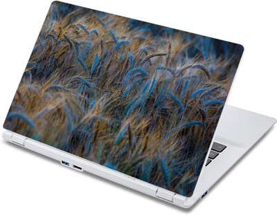

ezyPRNT Wheat Crops (13 to 13.9 inch) Vinyl Laptop Decal 13
