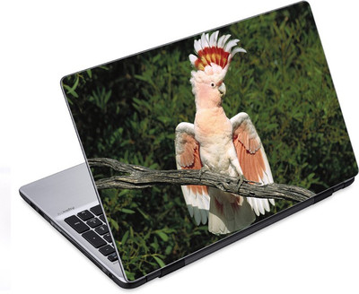

ezyPRNT The Parrot King (14 to 14.9 inch) Vinyl Laptop Decal 14