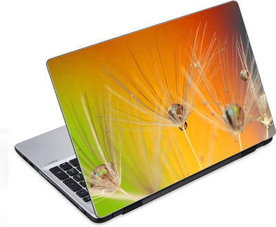 

ezyPRNT The Zoomed Droplets (14 to 14.9 inch) Vinyl Laptop Decal 14