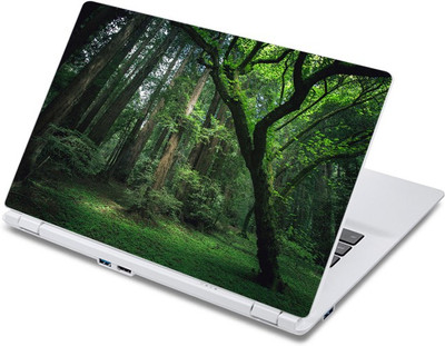 

ezyPRNT The Rain Forest (13 to 13.9 inch) Vinyl Laptop Decal 13