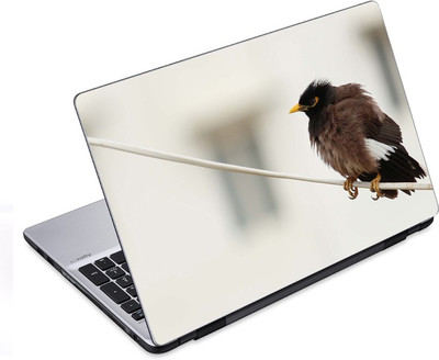 

ezyPRNT The Waiting Bird (14 to 14.9 inch) Vinyl Laptop Decal 14