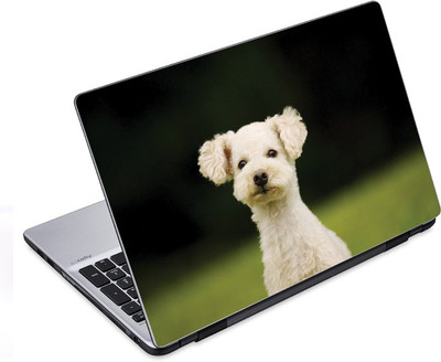 

ezyPRNT Cute white Puppy Pet Animal (14 to 14.9 inch) Vinyl Laptop Decal 14
