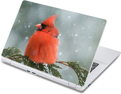 

ezyPRNT Beautiful Snow Bird (13 to 13.9 inch) Vinyl Laptop Decal 13