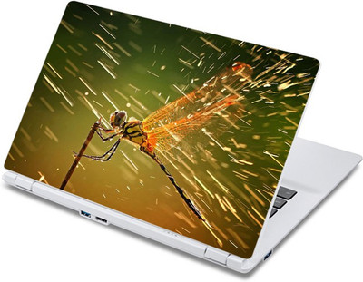 

ezyPRNT Beautiful Fly (13 to 13.9 inch) Vinyl Laptop Decal 13