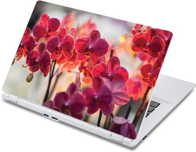 

ezyPRNT Orchedia HD (13 to 13.9 inch) Vinyl Laptop Decal 13