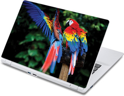 

ezyPRNT The Two Parrots (13 to 13.9 inch) Vinyl Laptop Decal 13