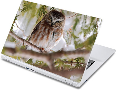 

ezyPRNT The Dangerous Owl (13 to 13.9 inch) Vinyl Laptop Decal 13