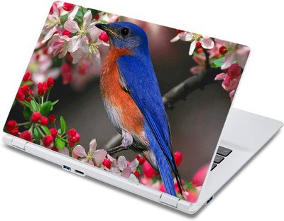 

ezyPRNT Humming Bird (13 to 13.9 inch) Vinyl Laptop Decal 13