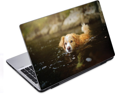 

ezyPRNT Dog Swimming Pet Animal (14 to 14.9 inch) Vinyl Laptop Decal 14