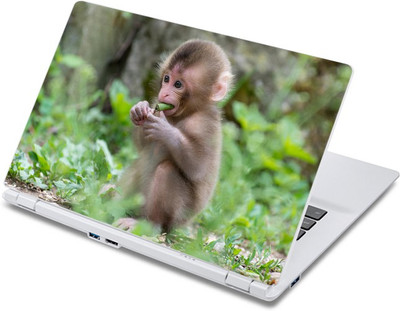 

ezyPRNT Hungry Monkey (13 to 13.9 inch) Vinyl Laptop Decal 13