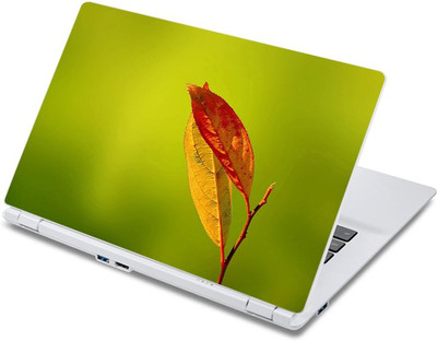 

ezyPRNT Two Leaves (13 to 13.9 inch) Vinyl Laptop Decal 13