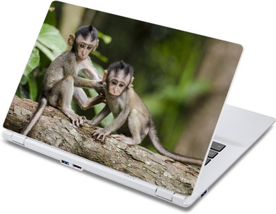 

ezyPRNT The Monkey Couple (13 to 13.9 inch) Vinyl Laptop Decal 13