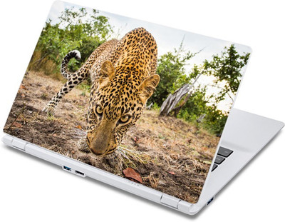 ezyPRNT Close up with Panther (13 to 13.9 inch) Vinyl Laptop Decal 13