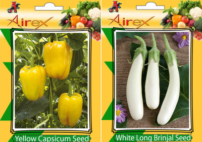 

Airex Capsicum Yellow and White Long Brinjal Vegetables Seed (Pack Of 25 Seed * 2 Per Packet) Seed(25 per packet)