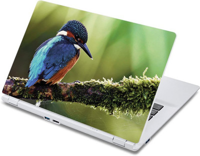 

ezyPRNT The Beautiful Blue Bird (13 to 13.9 inch) Vinyl Laptop Decal 13