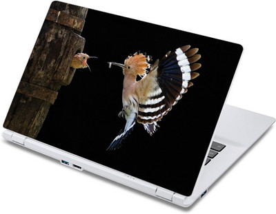 

ezyPRNT Bird Feed Snapshot (13 to 13.9 inch) Vinyl Laptop Decal 13