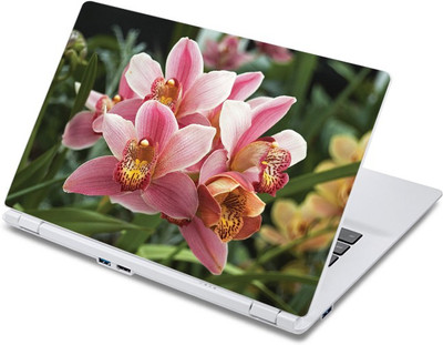 

ezyPRNT Amazing Pink Flower Nature (13 to 13.9 inch) Vinyl Laptop Decal 13