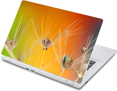 

ezyPRNT The Zoomed Droplets (13 to 13.9 inch) Vinyl Laptop Decal 13